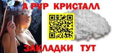 стаф Заводоуковск