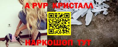 стаф Заводоуковск