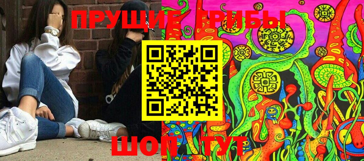 Галлюциногенные грибы Psilocybine cubensis  Вход с VPN  Киселёвск 